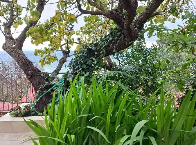Villa Marios Poros (Kefalonia)