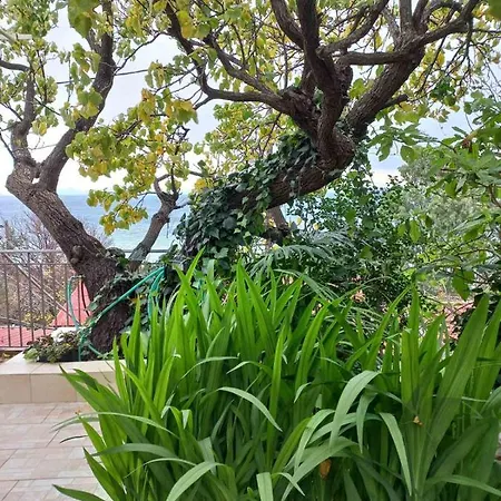 Villa Marios Poros (Kefalonia)