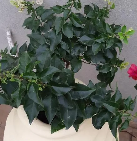 Marios Poros (Kefalonia)